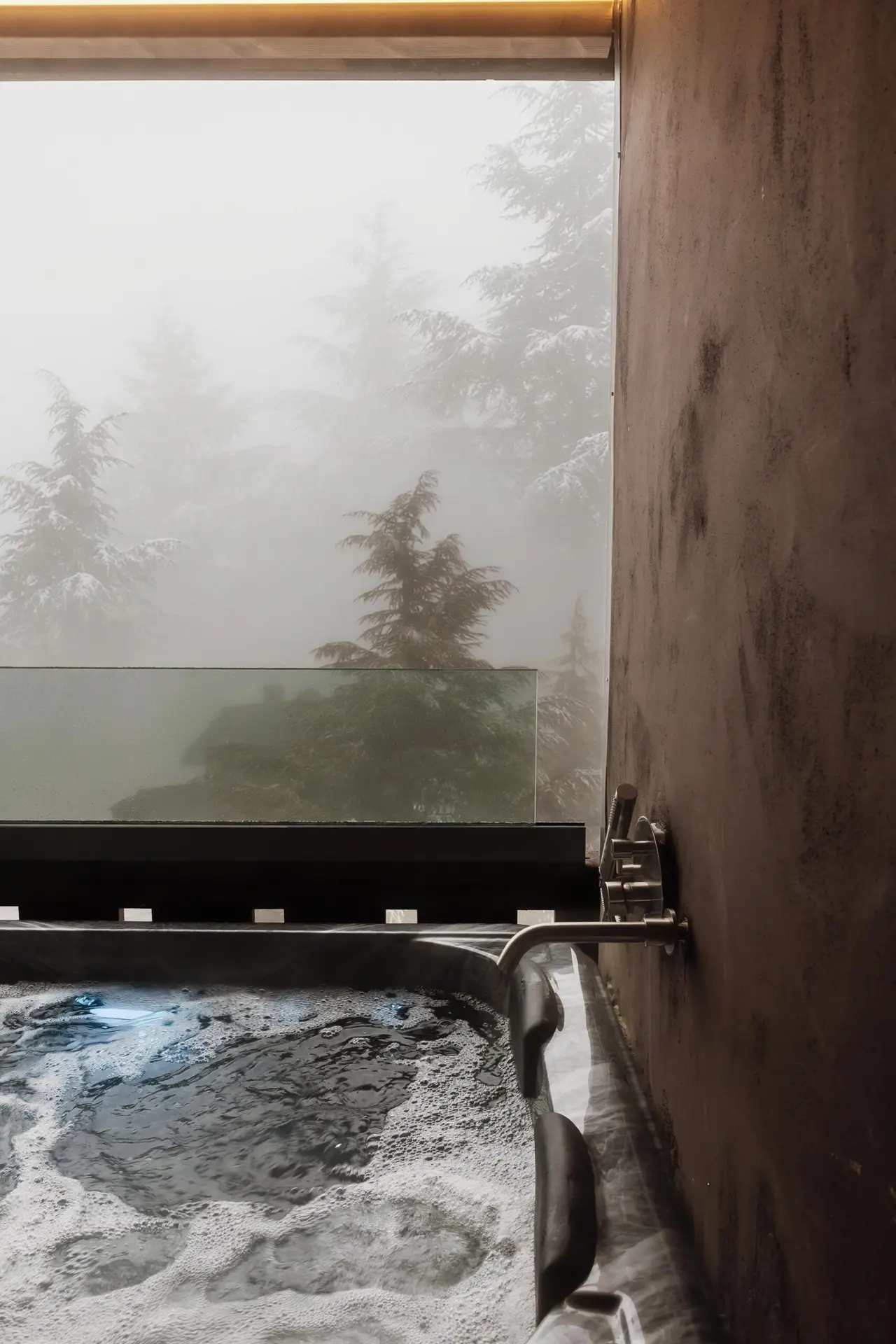 Jacuzzi con vistas al bosque nevado